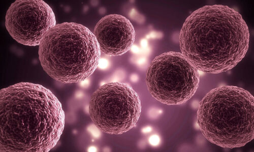 Organoids